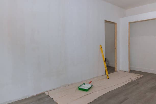 Best Drywall Texturing  in Colorado City, AZ